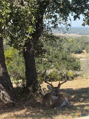 1279 Kings Cove Drive, Canyon Lake, TX 78133