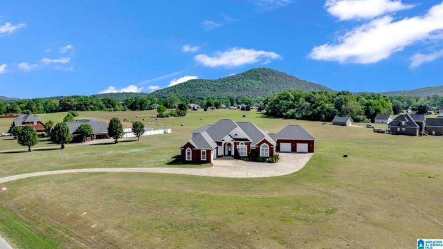 2478 TALLASSEEHATCHEE ROAD, Alpine, AL 35014