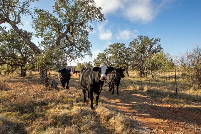 5550 S US Highway 87, Brady, TX 76825