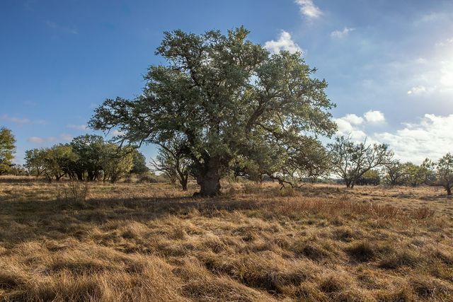 5550 S US Highway 87, Brady, TX 76825