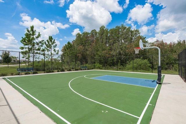 16168 GLOWING GROVE AVENUE, Odessa, FL 33556