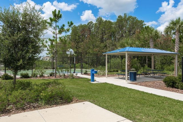 16168 GLOWING GROVE AVENUE, Odessa, FL 33556