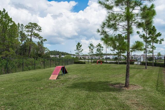 16168 GLOWING GROVE AVENUE, Odessa, FL 33556