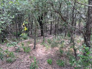 103 Mann LN, Cedar Creek, TX 78612