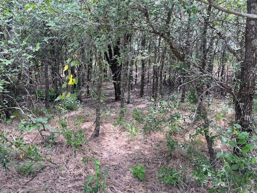 103 Mann LN, Cedar Creek, TX 78612