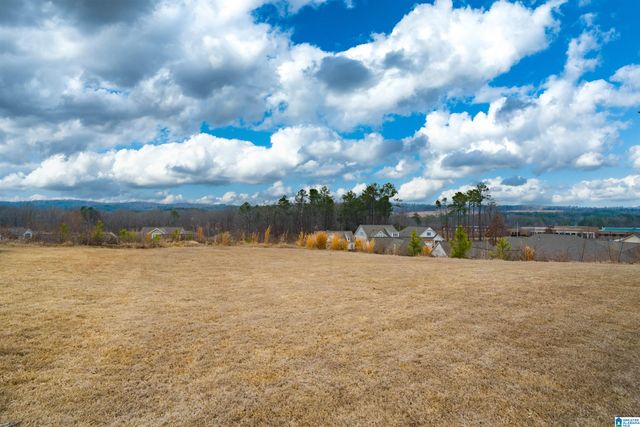 1027 SYDNEY PARK, Birmingham, AL 35211