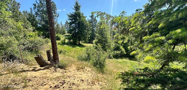 Mullan Trail Road, Coeur D'alene, ID 83814