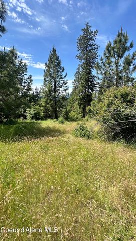 Mullan Trail Road, Coeur D'alene, ID 83814