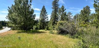 Mullan Trail Road, Coeur D'alene, ID 83814