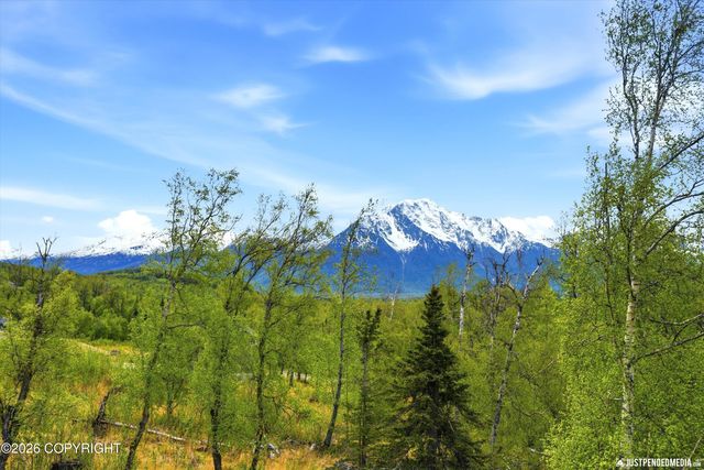 900 N Yeti Street, Palmer, AK 99645