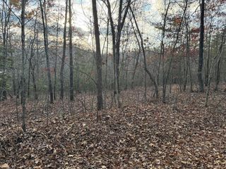 28/32 Stuart Ridge Road, Mineral Bluff, GA 30559