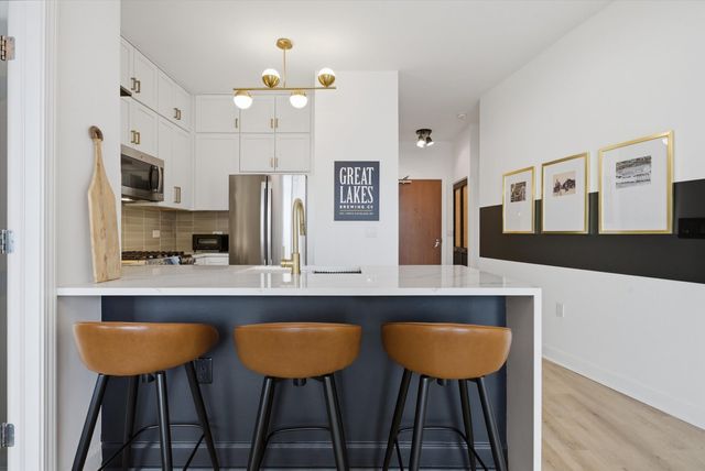 233 E 13th Street 1810, Chicago, IL 60605
