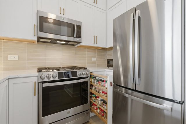 233 E 13th Street 1810, Chicago, IL 60605