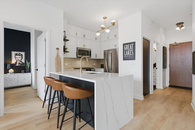 233 E 13th Street 1810, Chicago, IL 60605