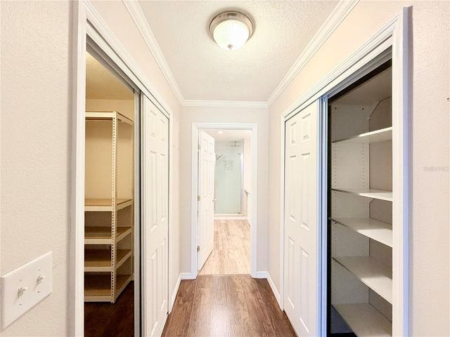 30750 TEMPLE STAND AVENUE, Wesley Chapel, FL 33543