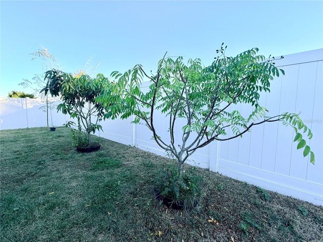 30750 TEMPLE STAND AVENUE, Wesley Chapel, FL 33543