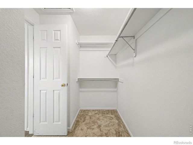223 Yellowfield Way, Erie, CO 80516
