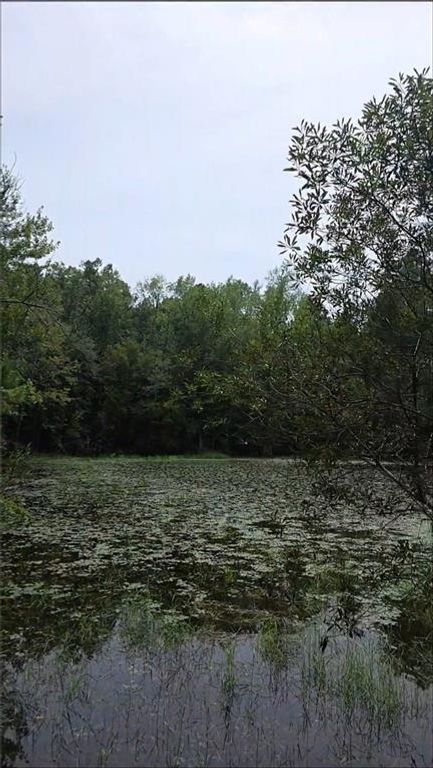 9350 Chunchula Landfill Road, Chunchula, AL 36521 — photo 3
