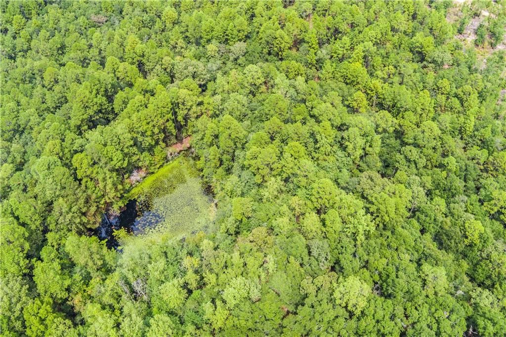 9350 Chunchula Landfill Road, Chunchula, AL 36521 — photo 5