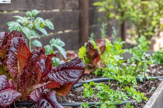 3386 Herrier St, Oakland, CA 94602