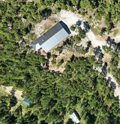 21302 WASP RD, Lead, SD 57754