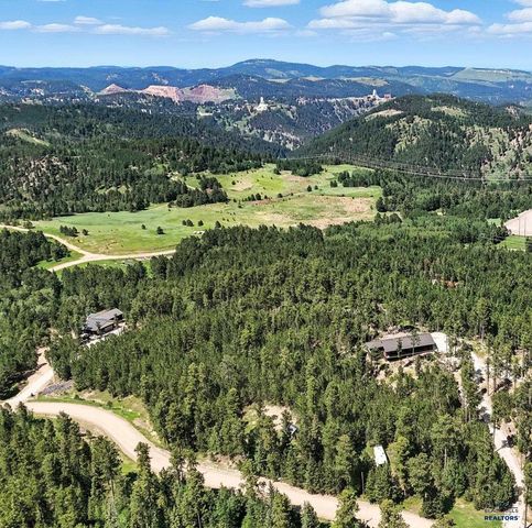 21302 WASP RD, Lead, SD 57754