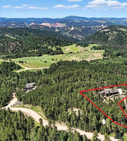 21302 WASP RD, Lead, SD 57754