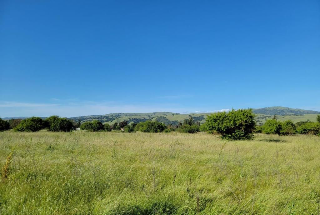 Image 2 of property listing at 14200 Sycamore Avenue, San Martin, CA 95046