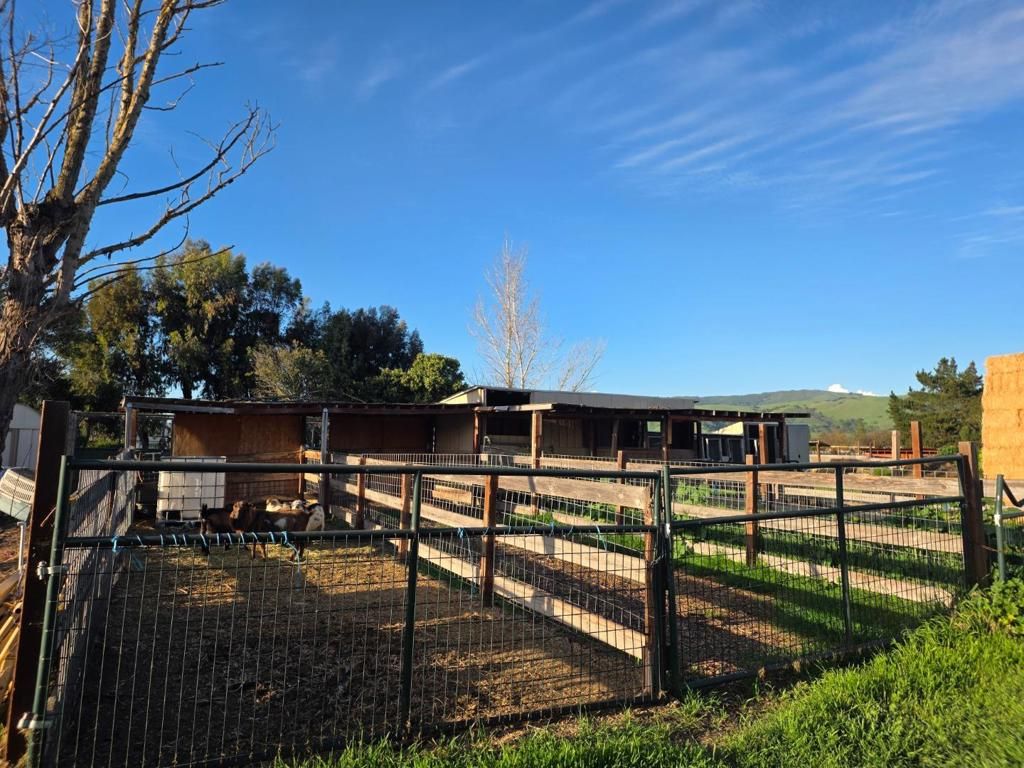 Image 20 of property listing at 14200 Sycamore Avenue, San Martin, CA 95046