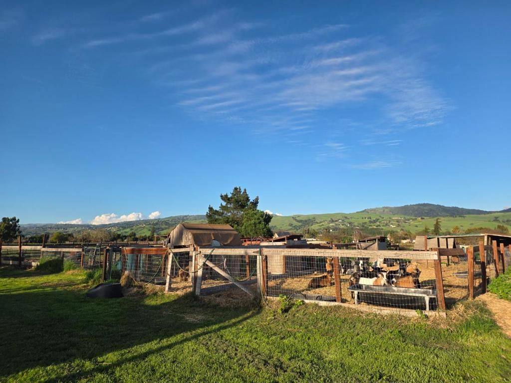 Image 21 of property listing at 14200 Sycamore Avenue, San Martin, CA 95046