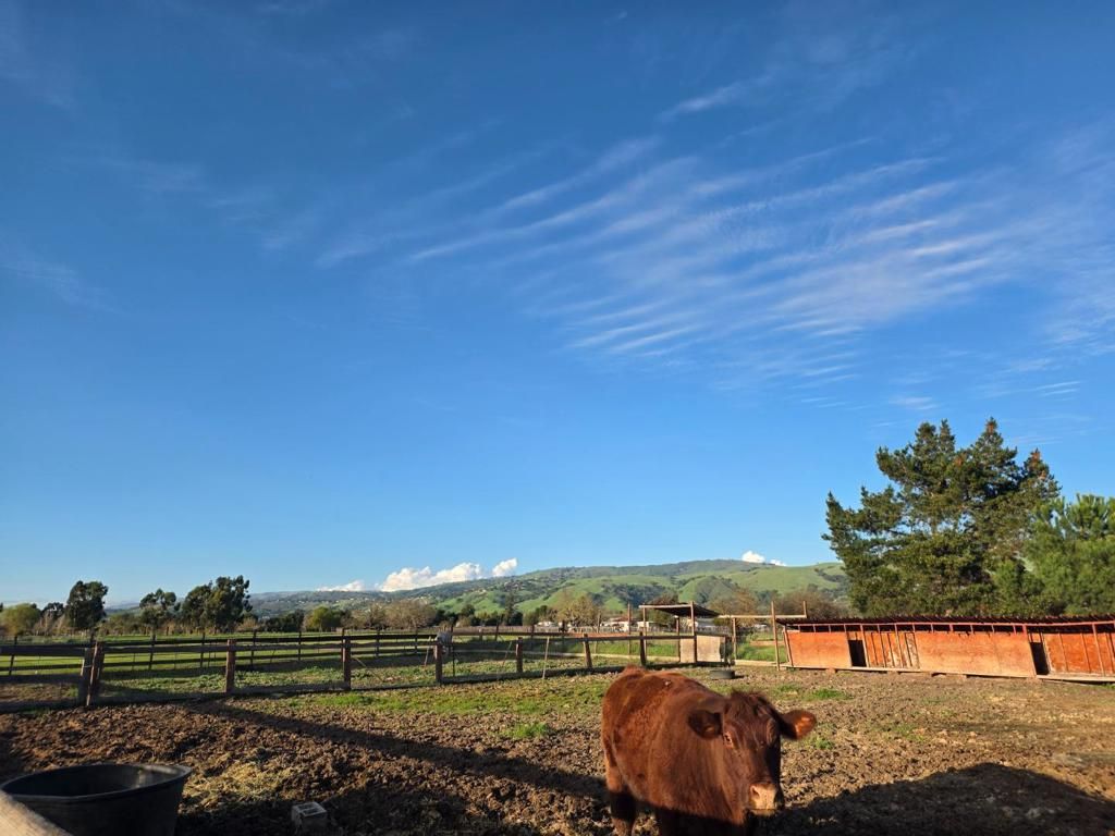 Image 22 of property listing at 14200 Sycamore Avenue, San Martin, CA 95046