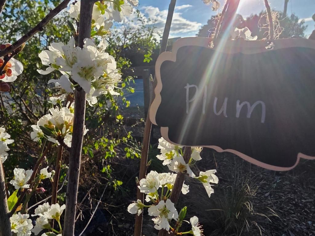 Image 32 of property listing at 14200 Sycamore Avenue, San Martin, CA 95046