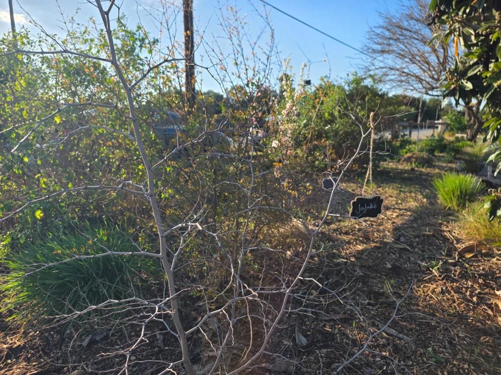 Image 33 of property listing at 14200 Sycamore Avenue, San Martin, CA 95046