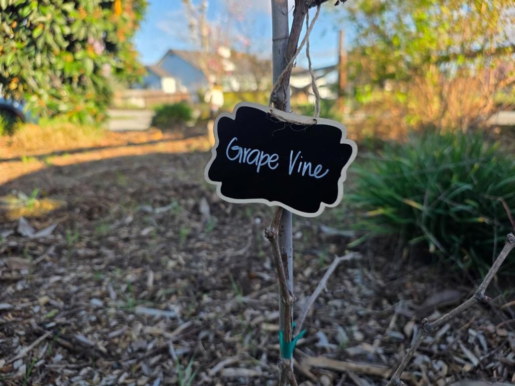 Image 38 of property listing at 14200 Sycamore Avenue, San Martin, CA 95046