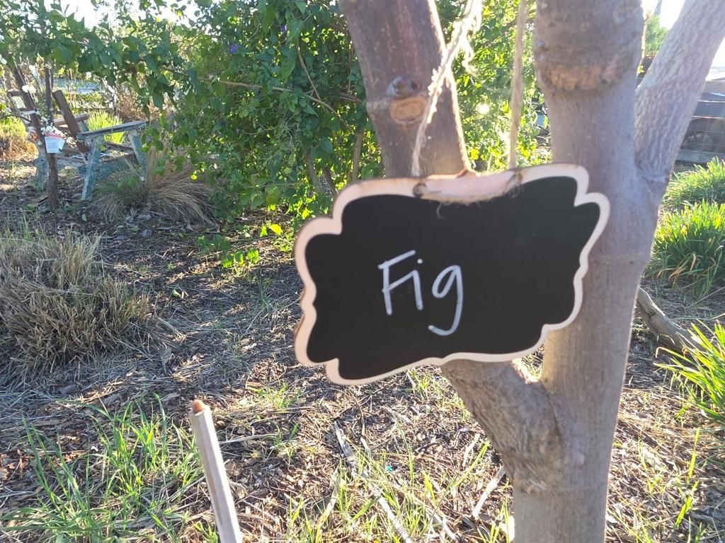 Image 43 of property listing at 14200 Sycamore Avenue, San Martin, CA 95046