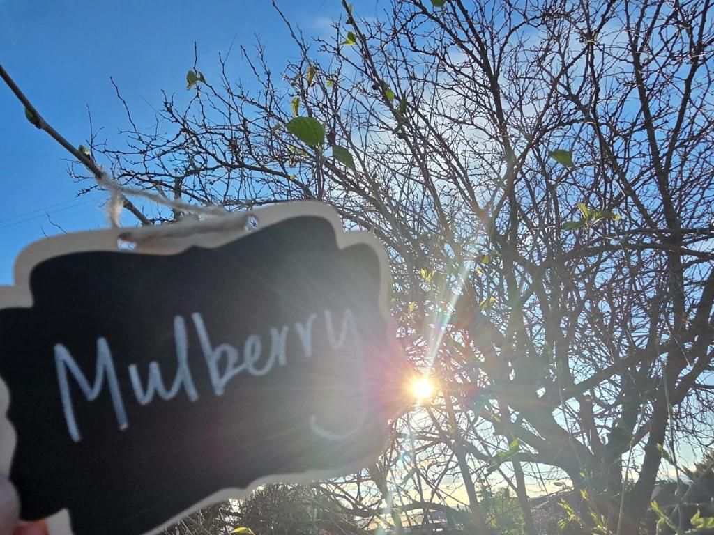 Image 48 of property listing at 14200 Sycamore Avenue, San Martin, CA 95046