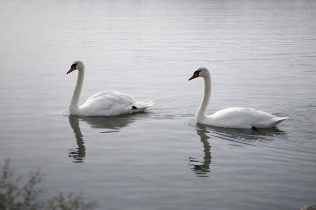 9387 Bay Colony Drive 3W, Des Plaines, IL 60016