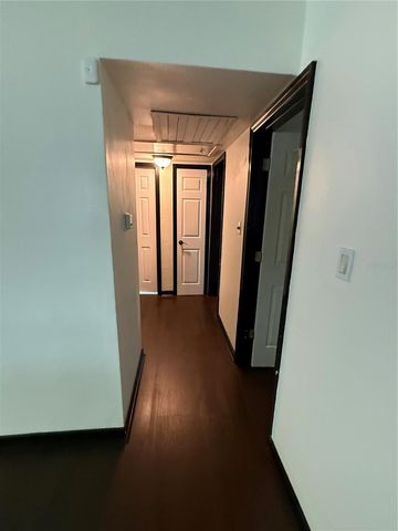 15204 MONET DRIVE, Tampa, FL 33613