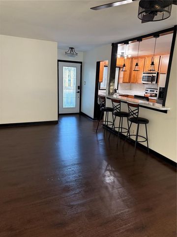 15204 MONET DRIVE, Tampa, FL 33613