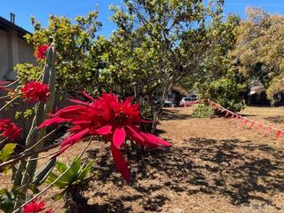 3328 Roosevelt Street, Carlsbad, CA 92008