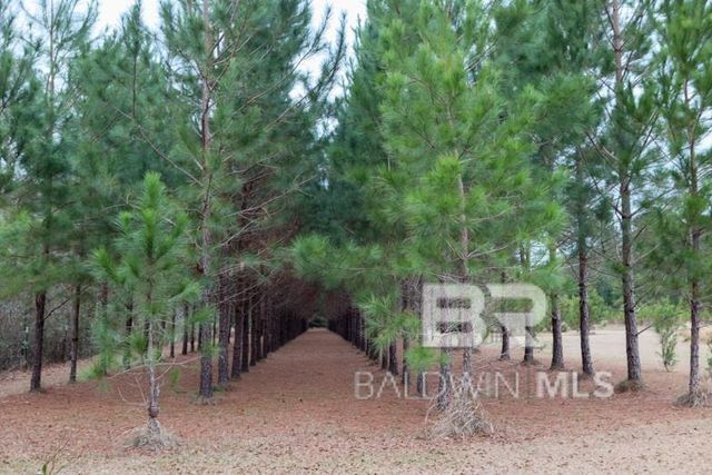 18255 Cactus Court, Elberta, AL 39430