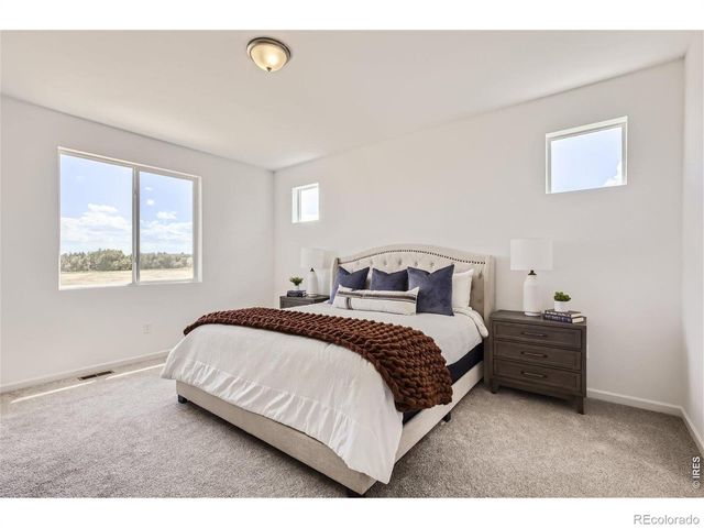 7338 White River Street, Frederick, CO 80530