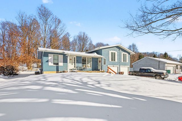 1315 S Hanover Street, Hastings, MI 49058