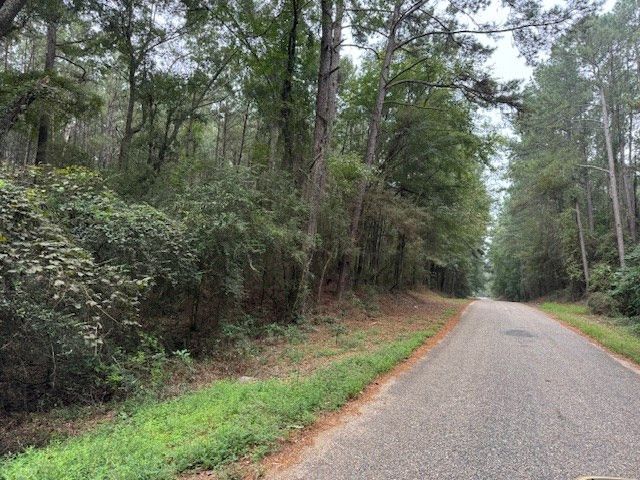 TBD Cemetery Road, Tylertown, MS 39667