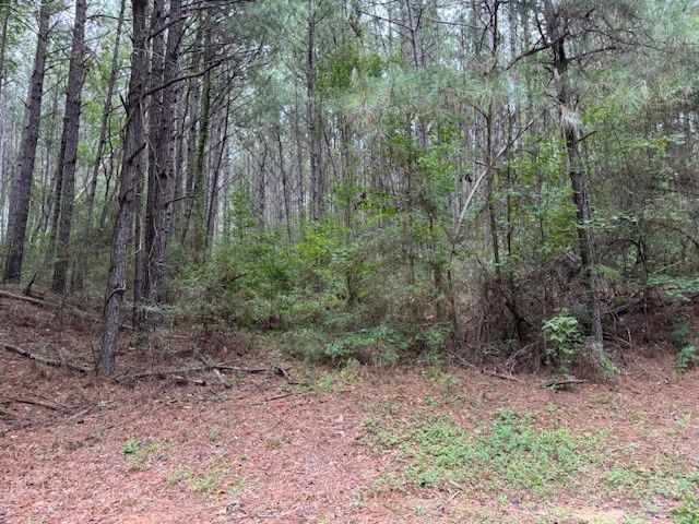 TBD Cemetery Road, Tylertown, MS 39667