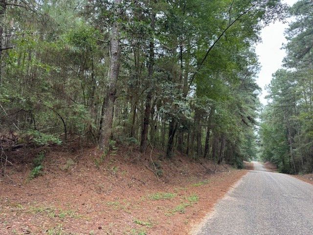 TBD Cemetery Road, Tylertown, MS 39667