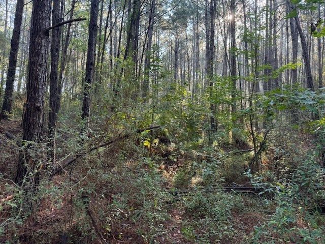 TBD Cemetery Road, Tylertown, MS 39667
