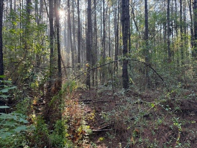TBD Cemetery Road, Tylertown, MS 39667