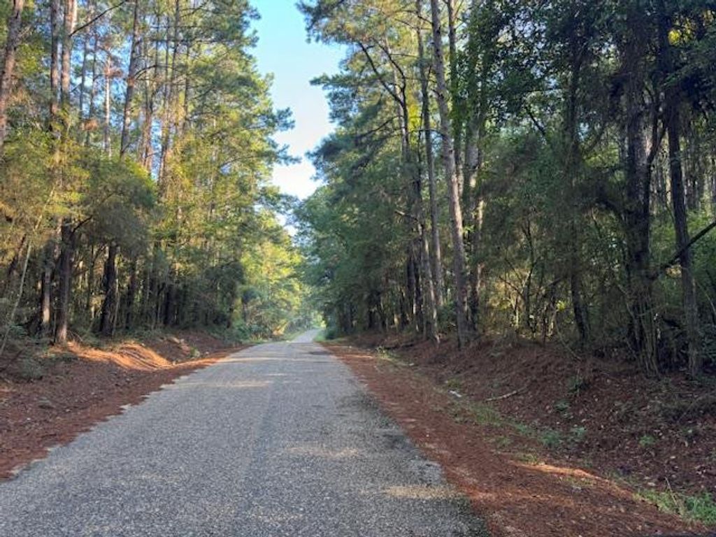 TBD Cemetery Road, Tylertown, MS 39667