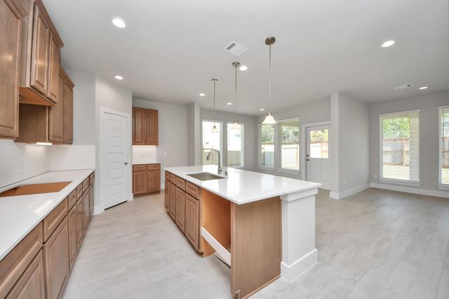 3102 Native Spring Drive, Spring, TX 77373